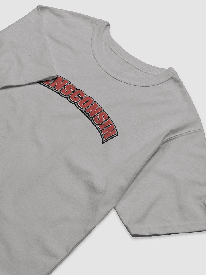 WINsconsin Champion Relaxed-Fit T-Shirt by Champion product image (10)