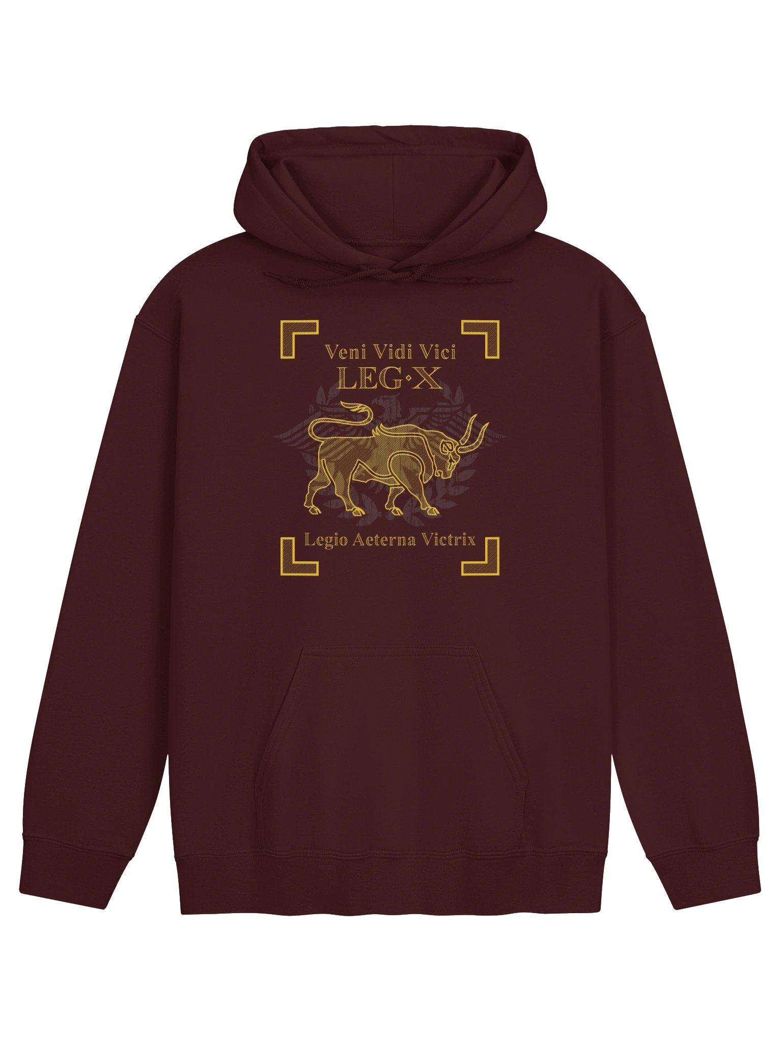 Legion X - veni vidi vici - Hoodie product image (2)