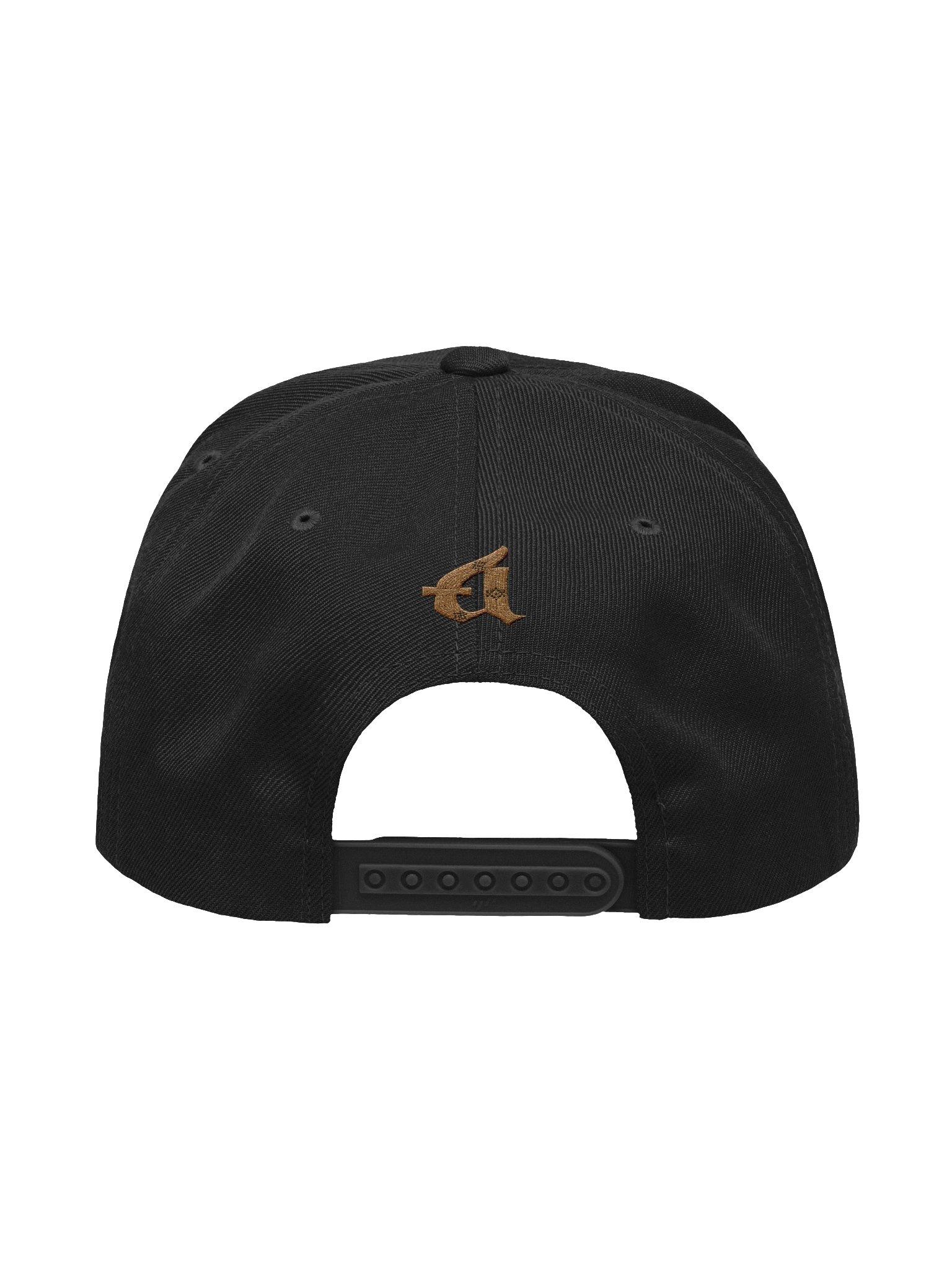 GN4S Sweetgrass Exclusive Snapback product image (19)