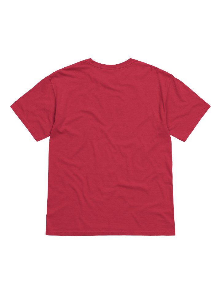 Heavyweight Horseshoe T-Shirt (Black) product image (14)