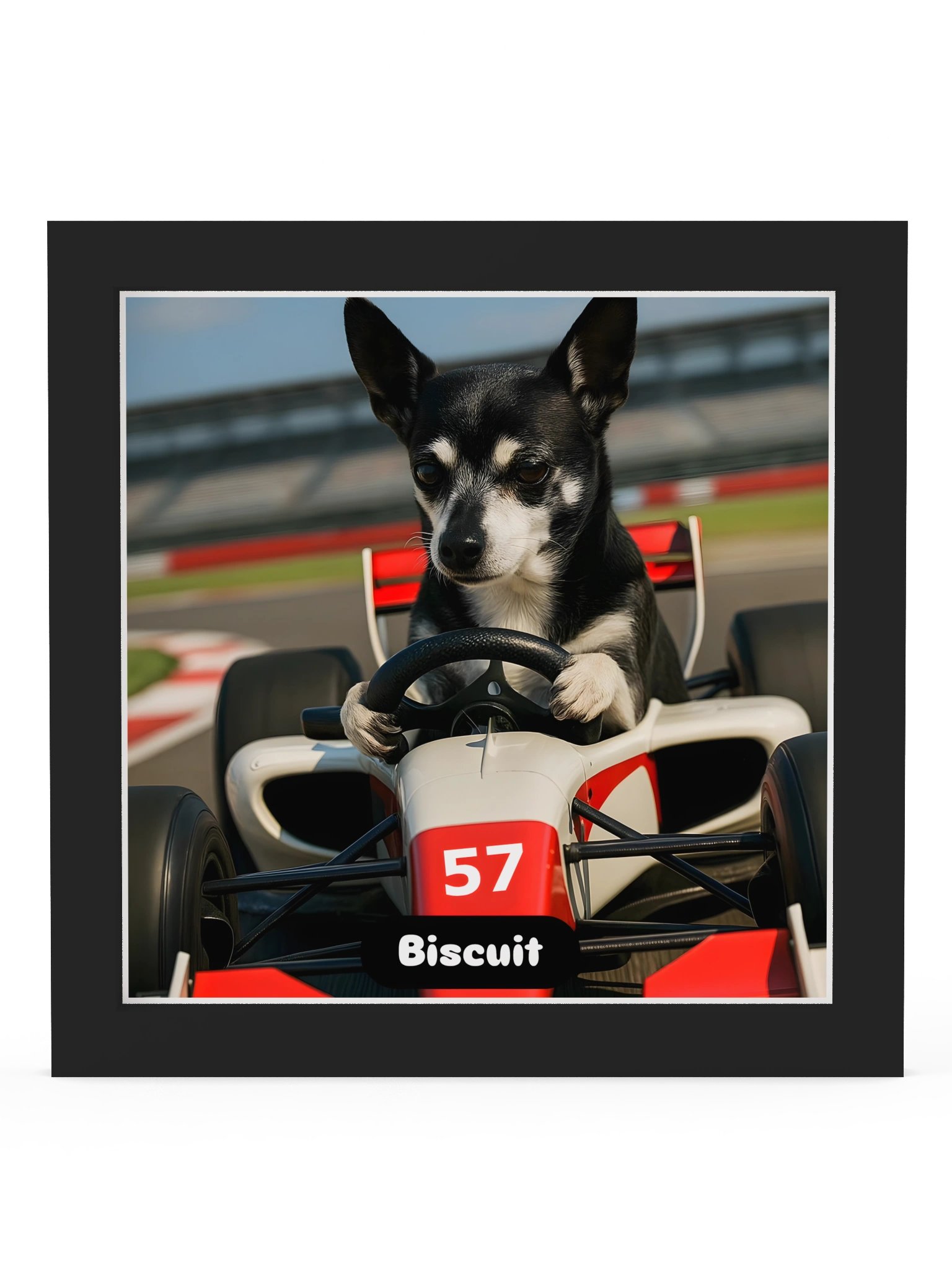 Biscuit at Silverstone product image (2)