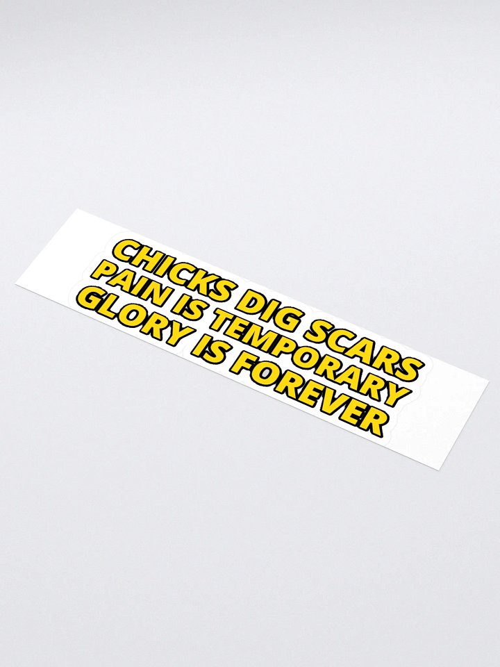 CHICKS DIG SCARS, PAIN IS TEMPORARY, GLORY IS FOREVER product image (1)