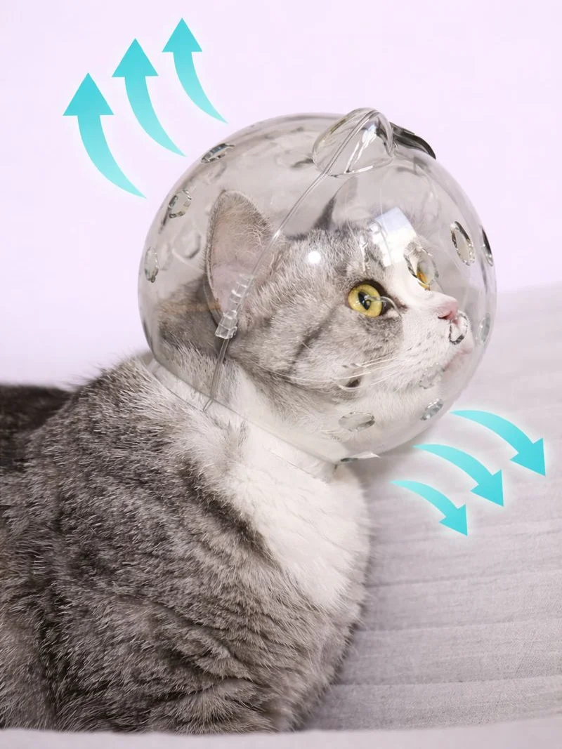 Cat Bubble Helmet and Paw Socks product image (2)