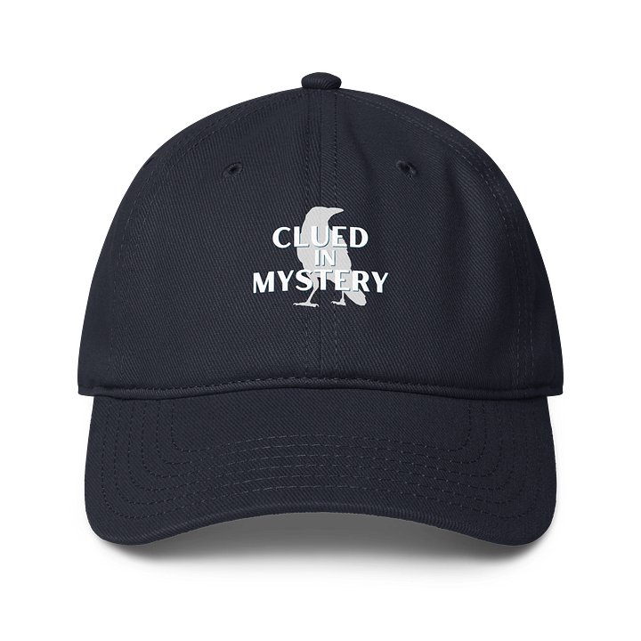Clued in Cap Navy product image (1)