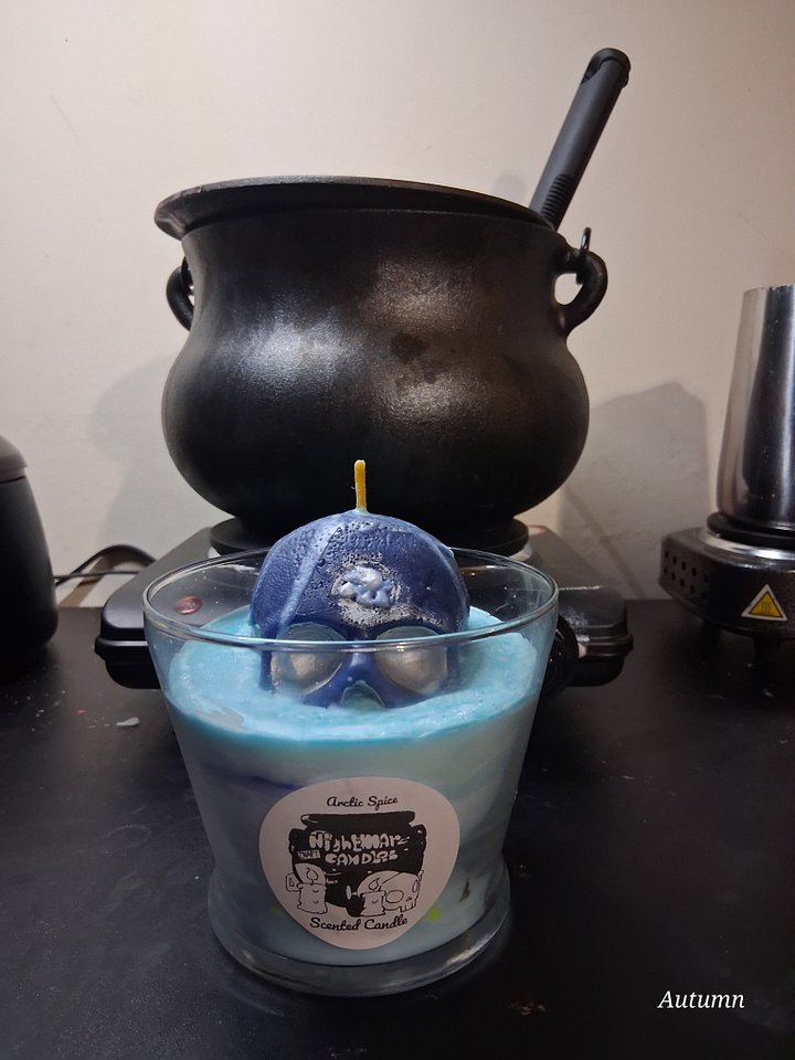 Arctic Spice Candle product image (1)