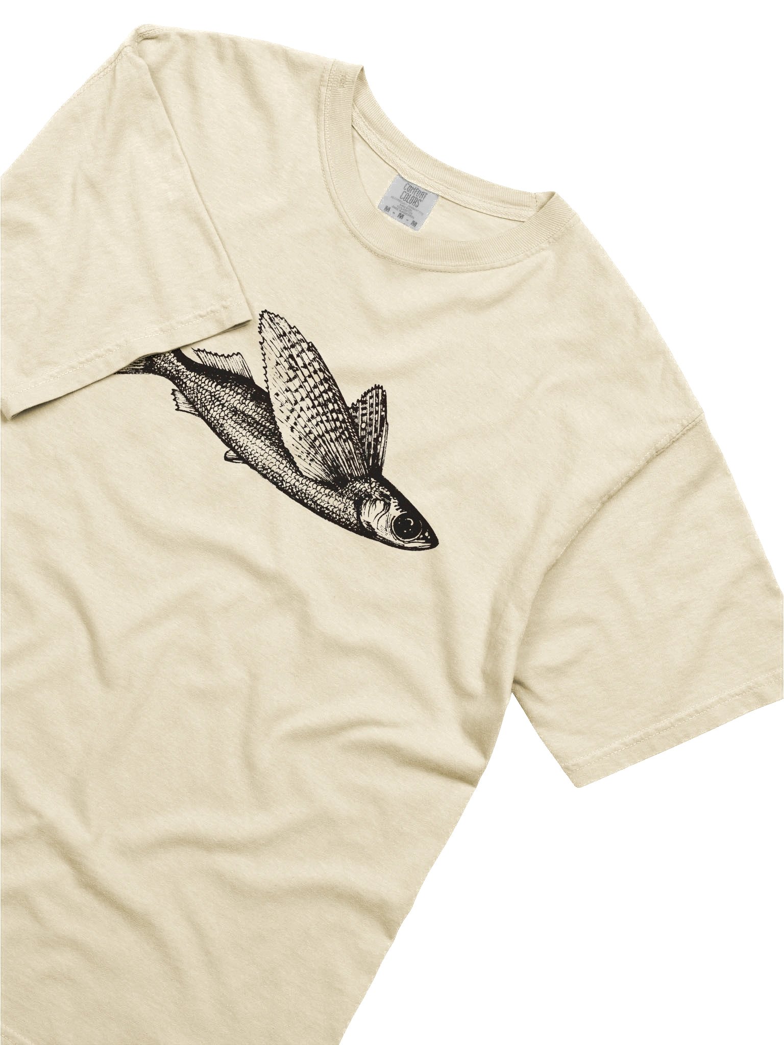 Flying fish - Print product image (35)