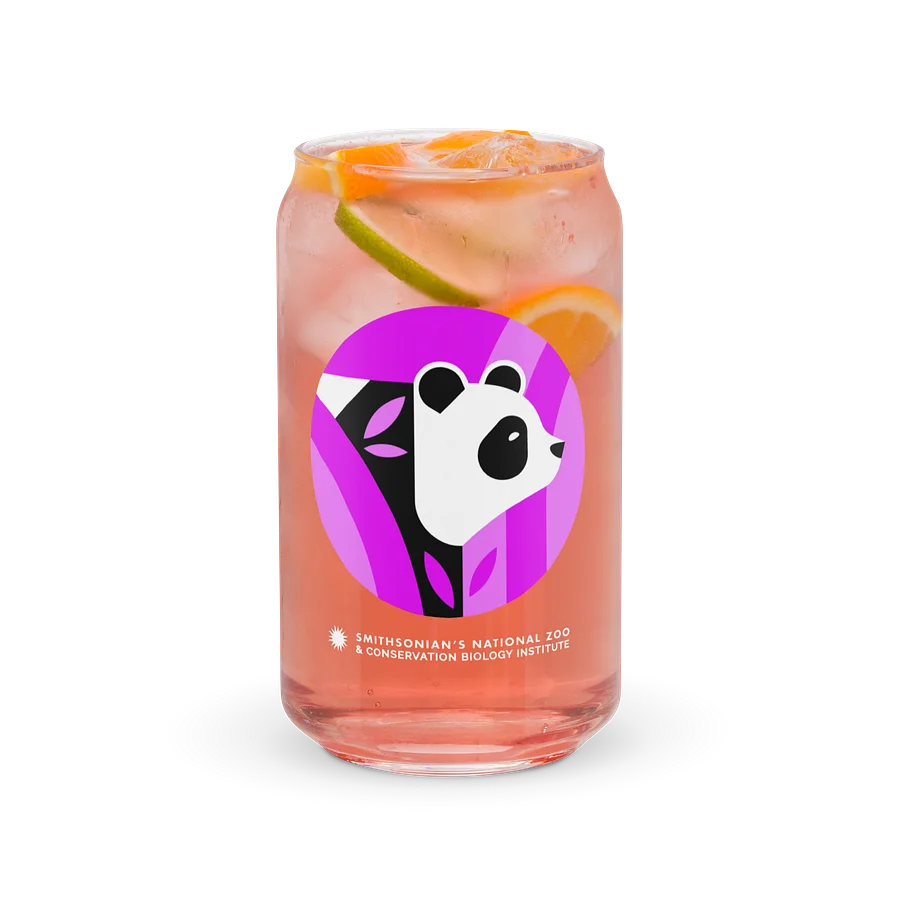 Panda Glass (Purple) Image 2