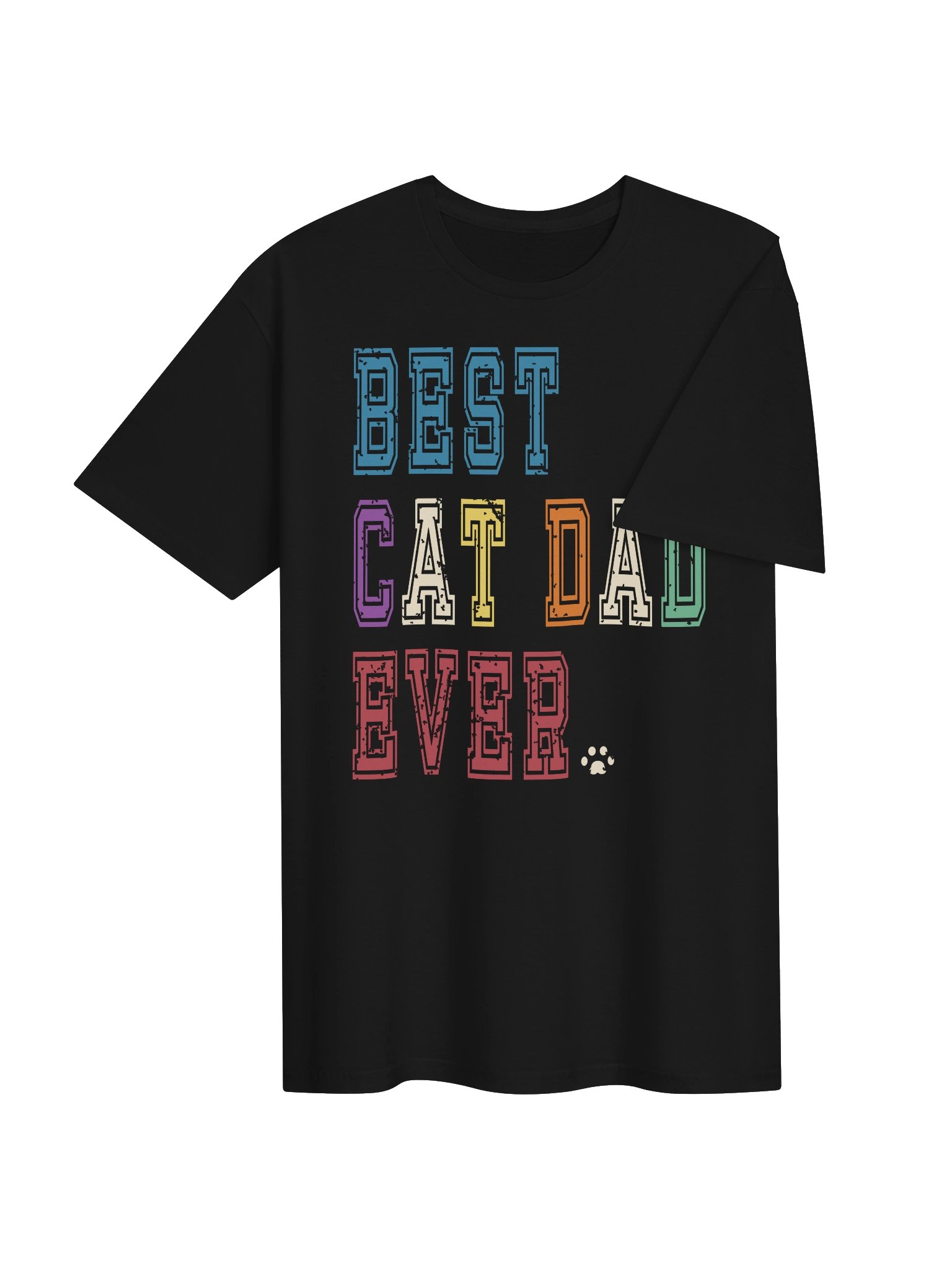 Best Cat Dad Ever 2 - Unisex Adult Super Soft Lightweight T-shirt product image (3)