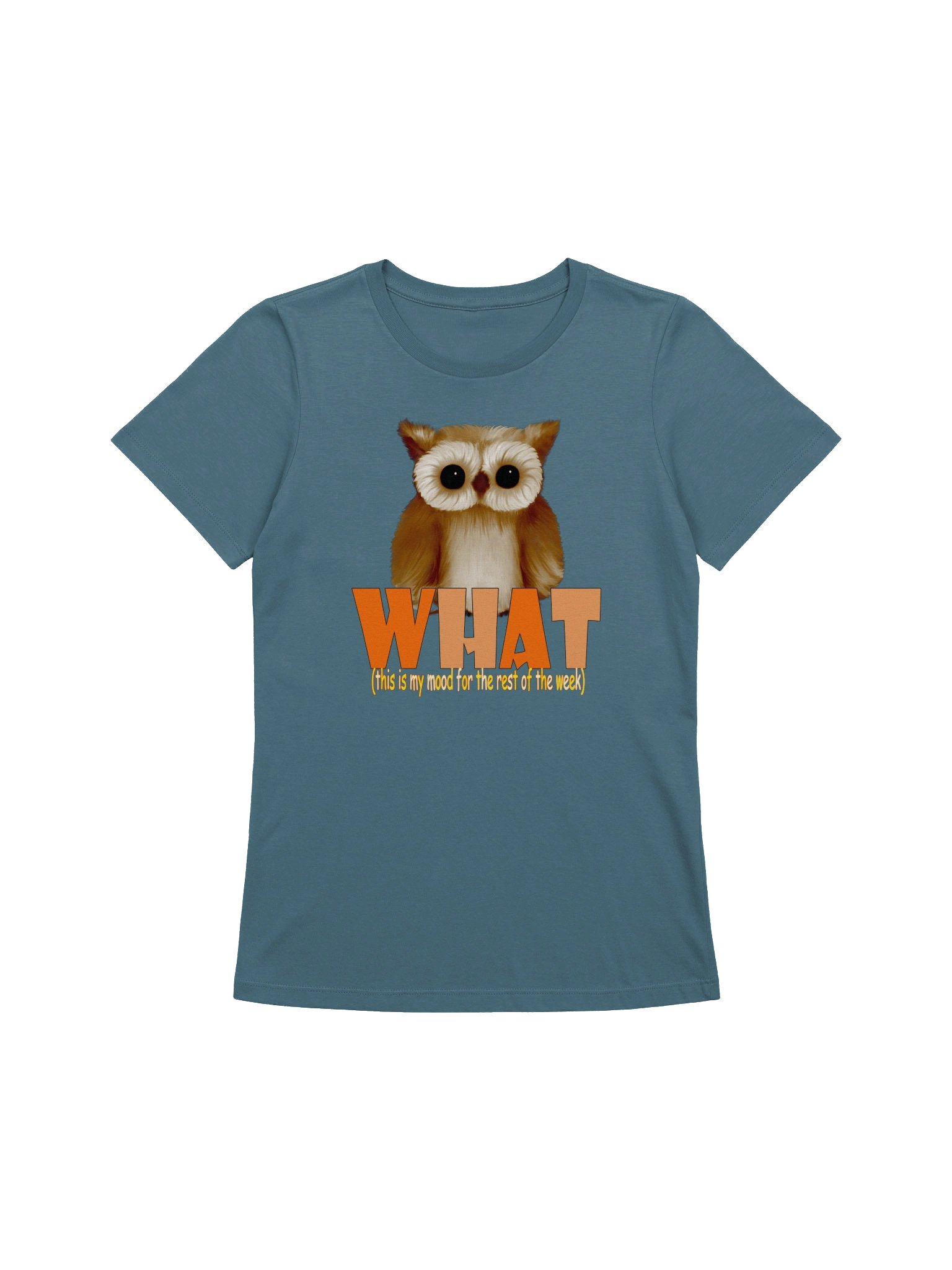 Owl "WHAT" T-Shirt. Women's Bella+Canvas Supersoft Relaxed-fit T-Shirt product image (1)