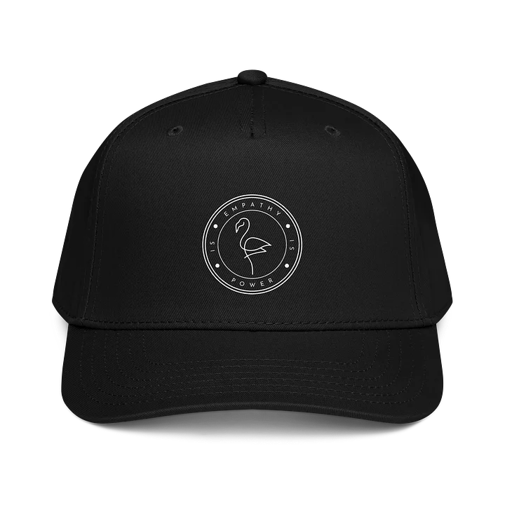 Empathy is Power Baseball Cap product image (1)
