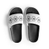 The DIMBER Paradigm Slides
