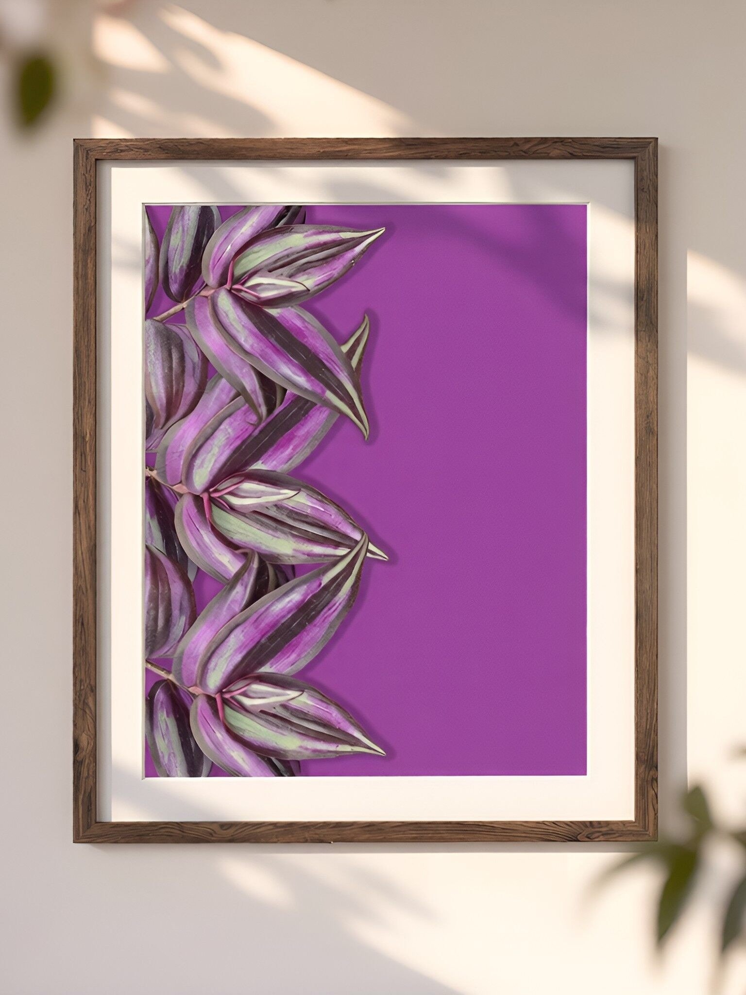 Tradescantia Zebrina Botanical Art Print | Bold Purple Printable Wall Art | Multiple Sizes Digital Download product image (2)