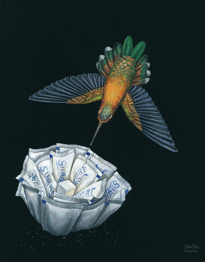 Succor II (Rufous Hummingbird) - Art Print product image (3)