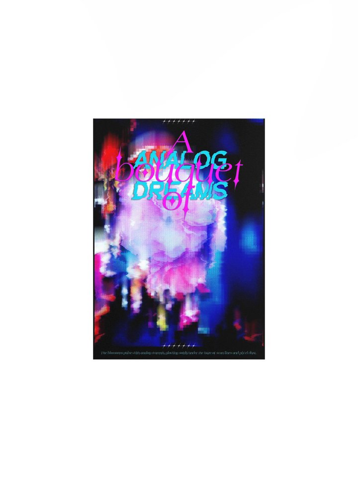 A Bouquet Of Analog Dreams product image (2)