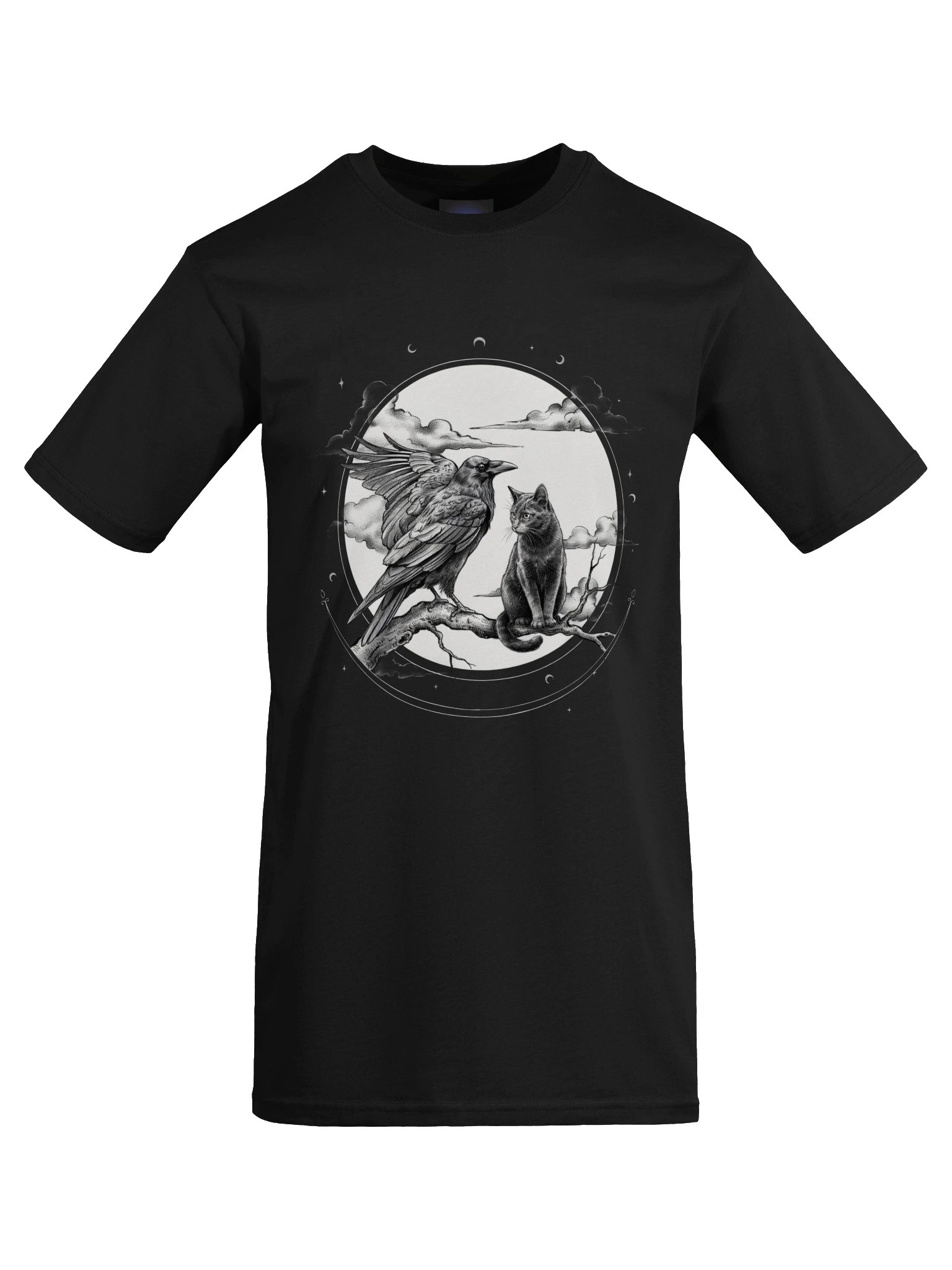 The Midnight Secret // Raven & Familiar Heavyweight Tee product image (7)