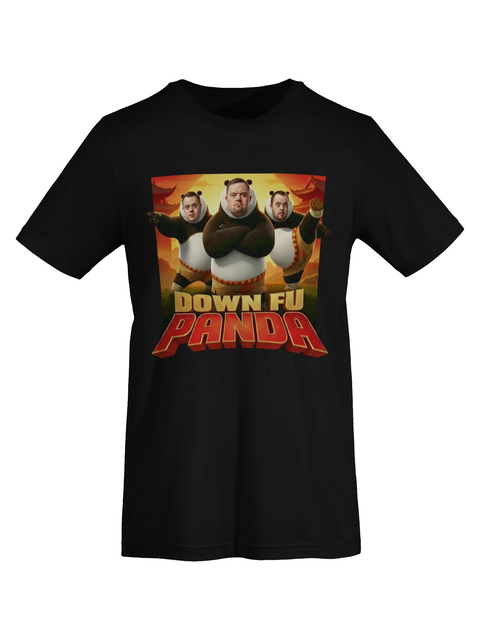 Down Fu Panda Tshirt product image (7)