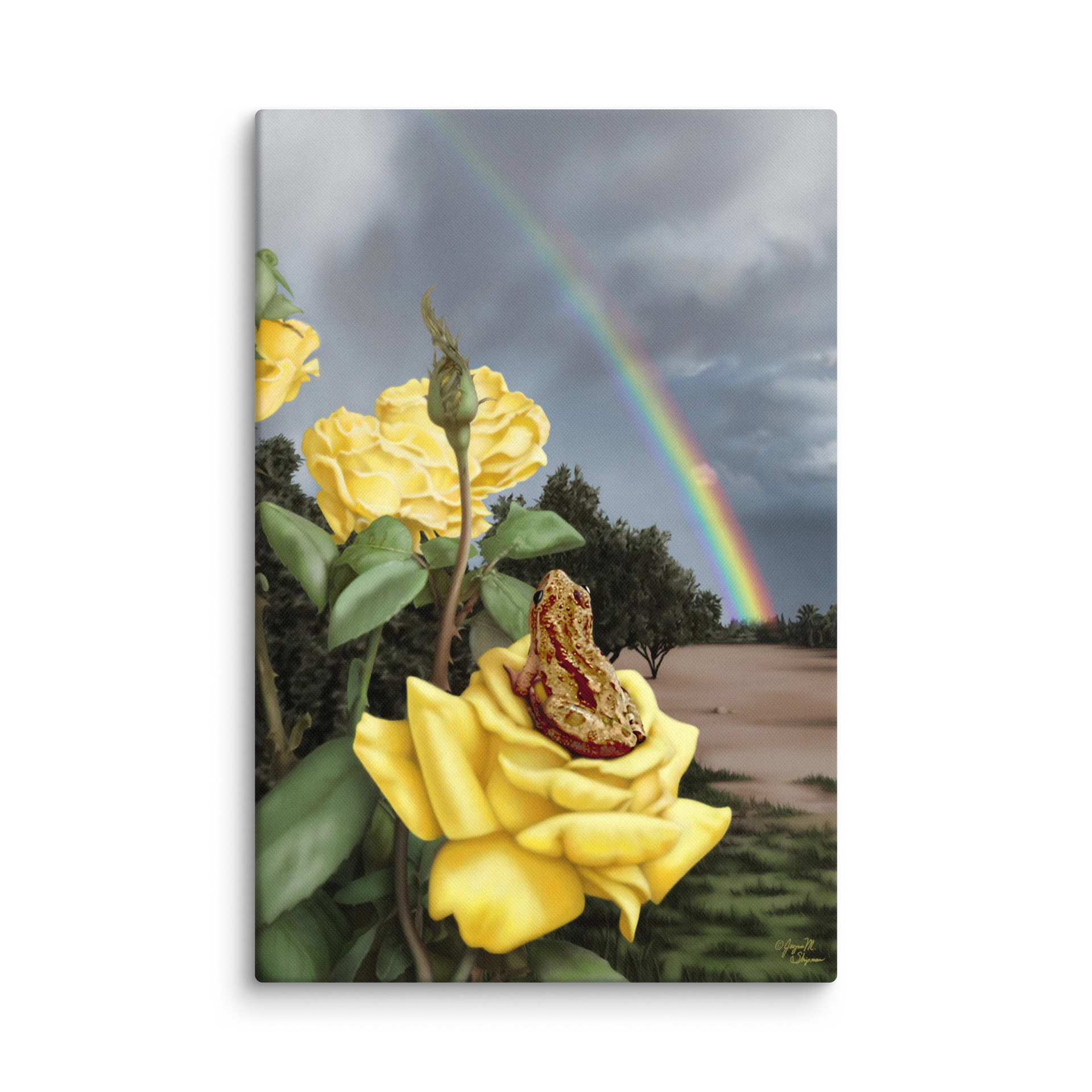 Wonder Frog: Desert Rainbow Fine Art Print product image (1)