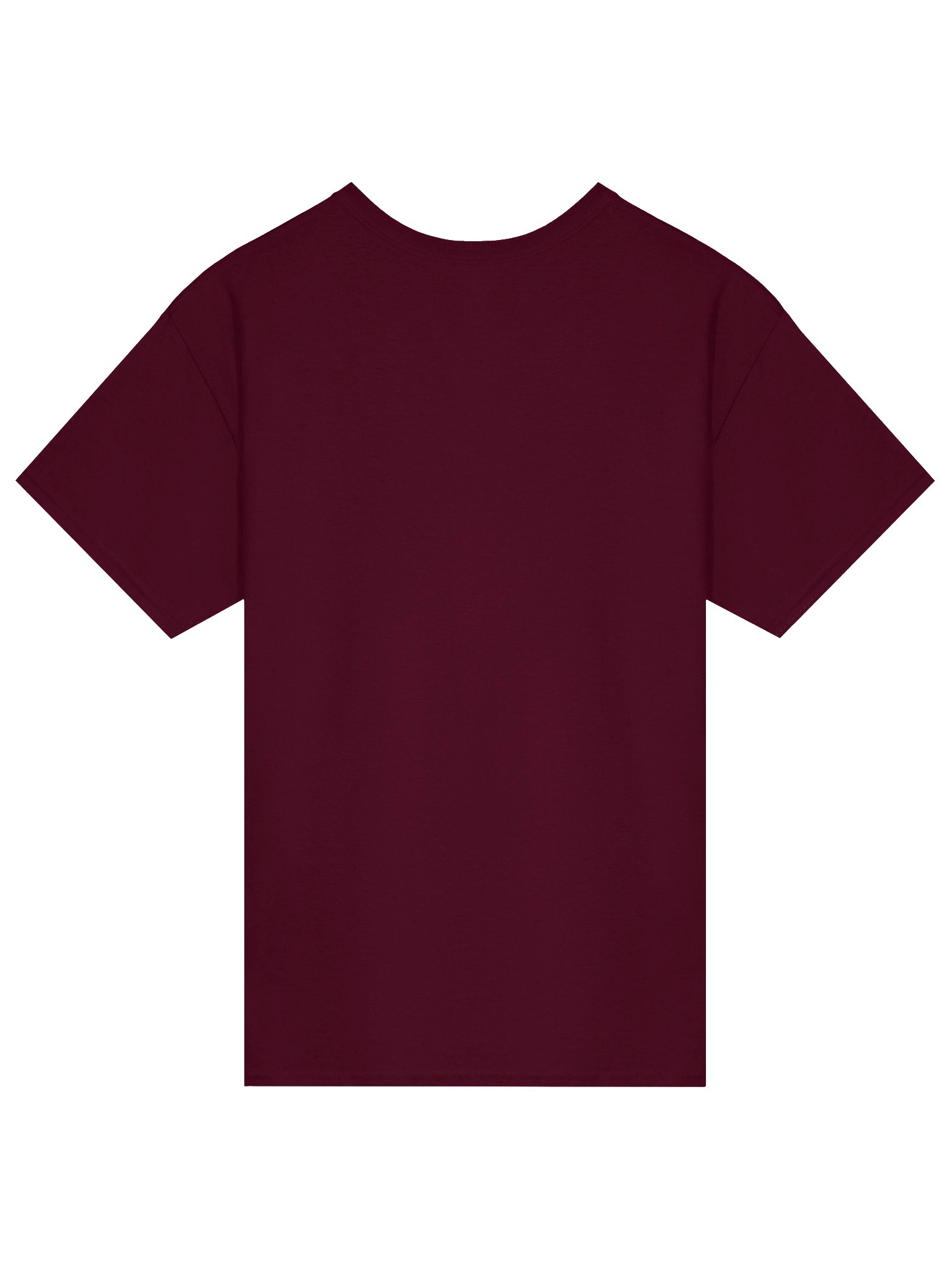 DCH Logo T-Shirt product image (14)