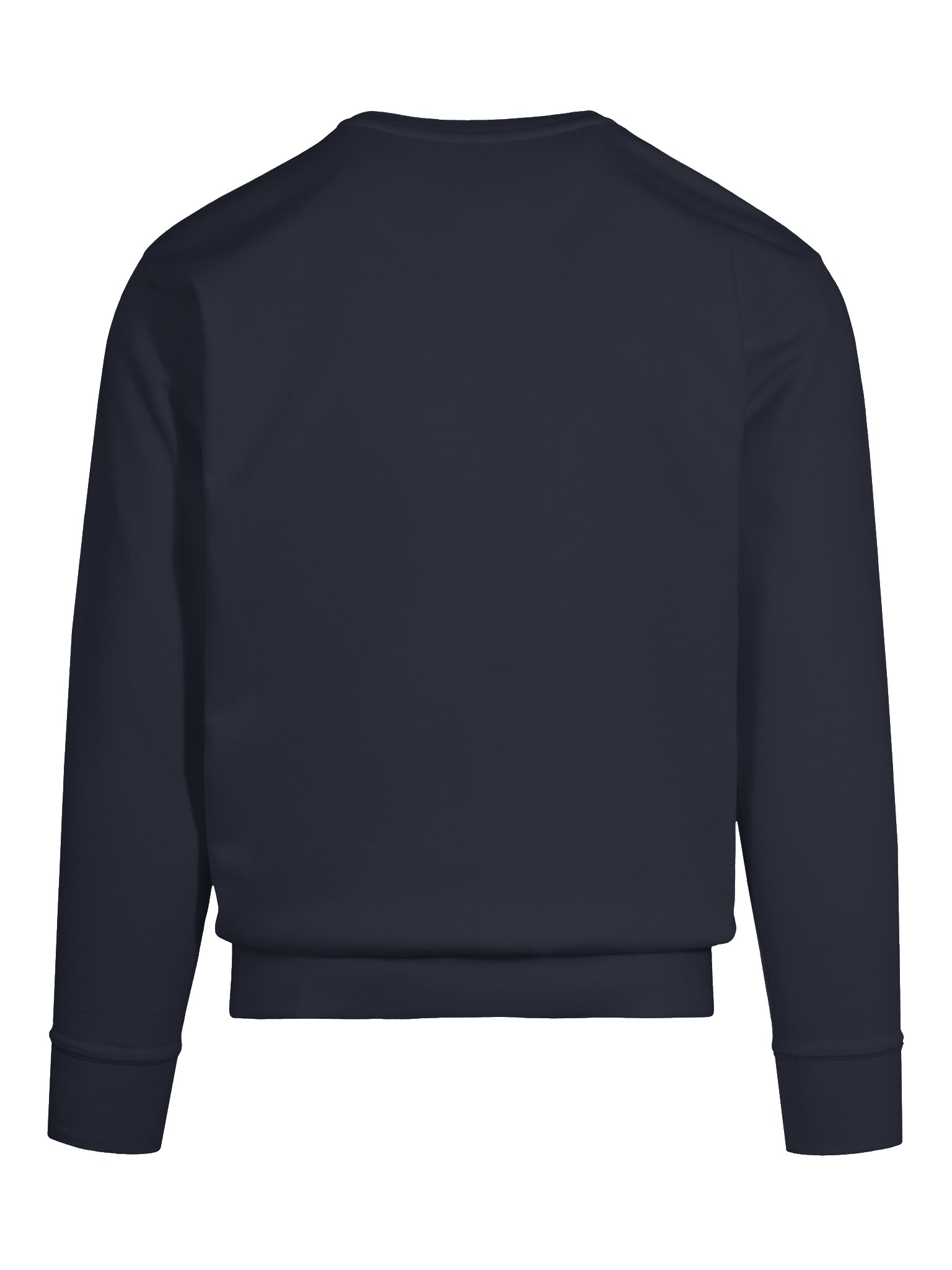 Gradient Wisdom Premium Sweatshirt product image (51)