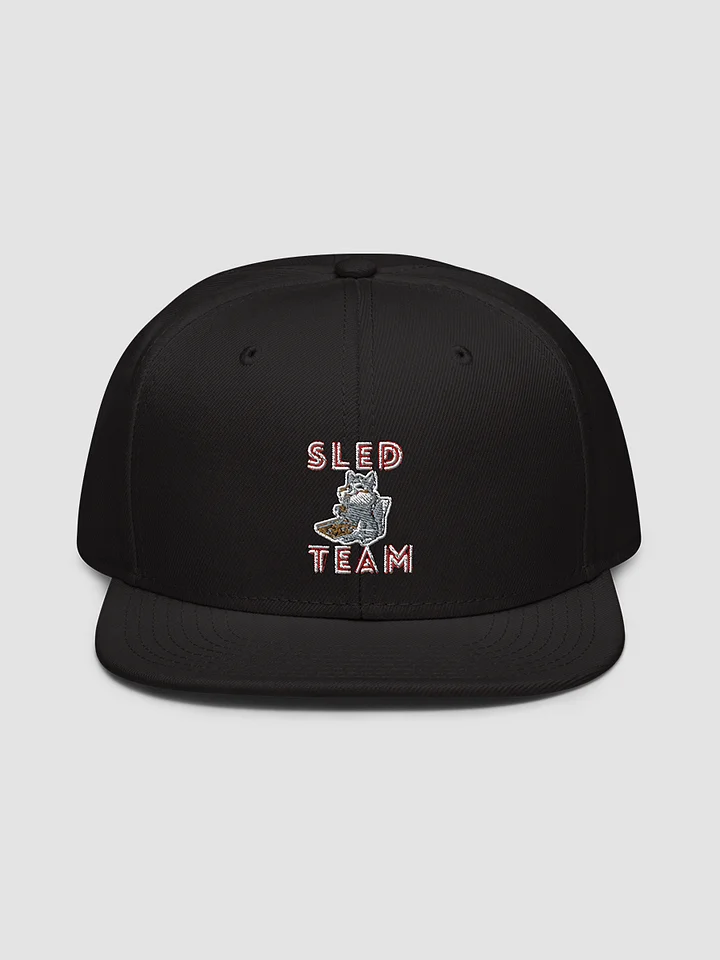 [Docstradamnus] Snapback - Otto Cap 125-978 product image (2)