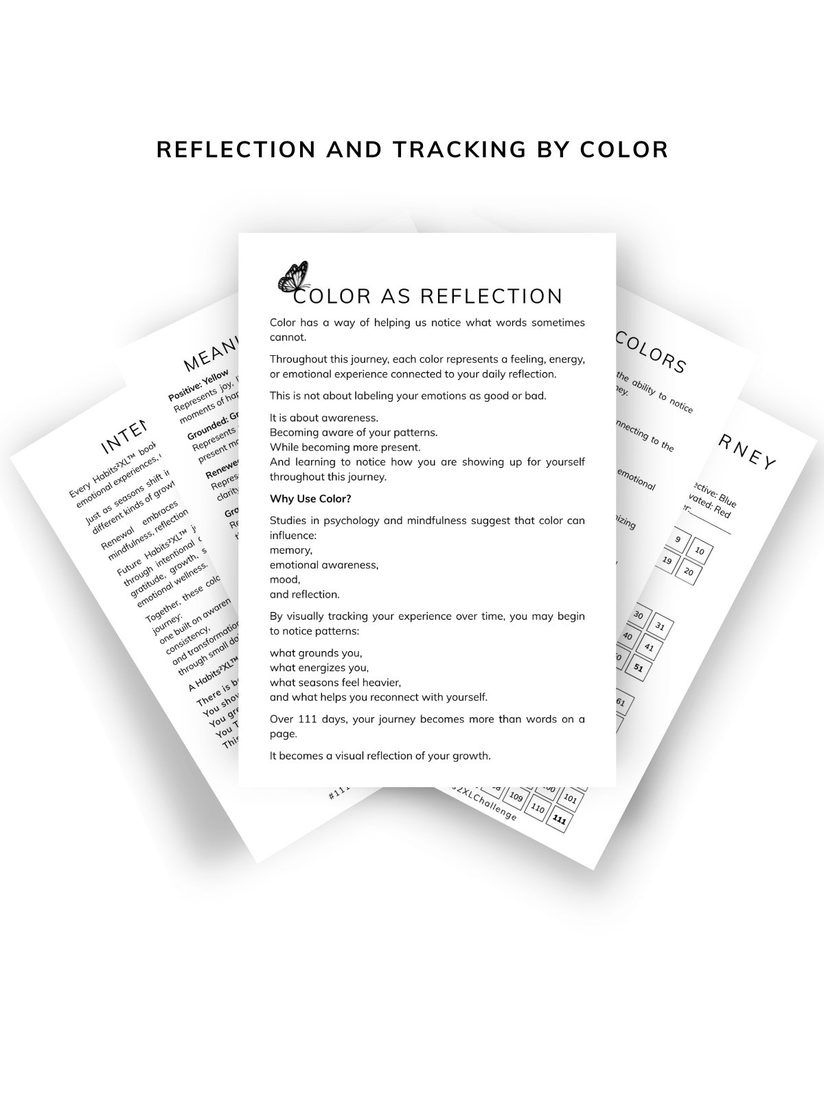 Journey: 111 Days of Consistency PDF Printable (Download) product image (3)