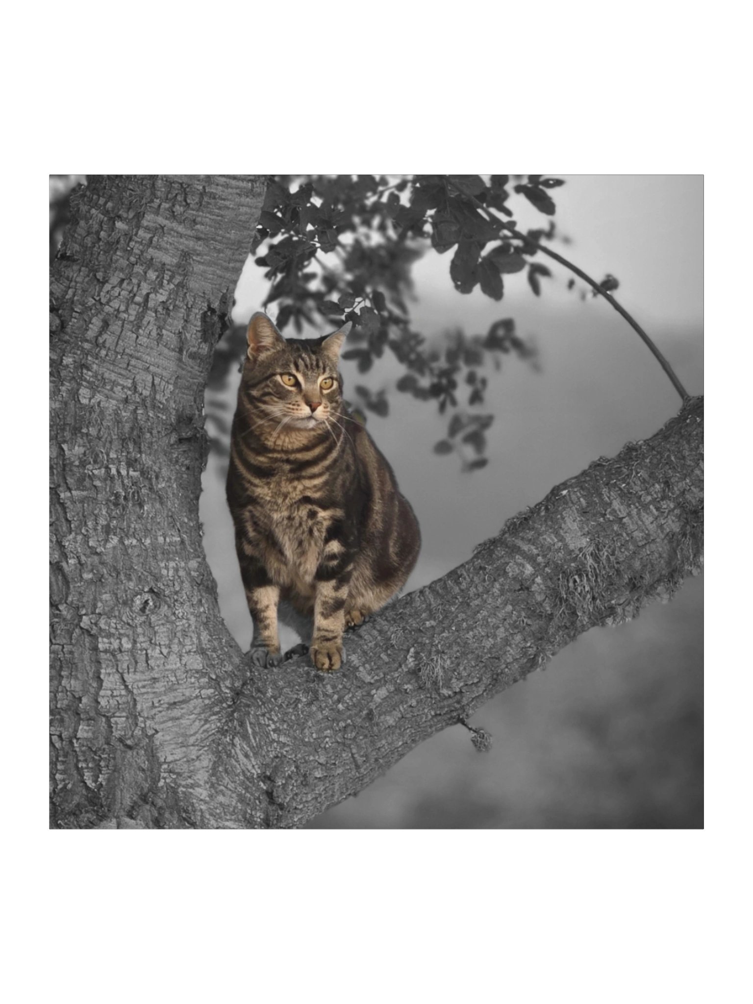 Whiskered Wanderlust Sticker product image (1)