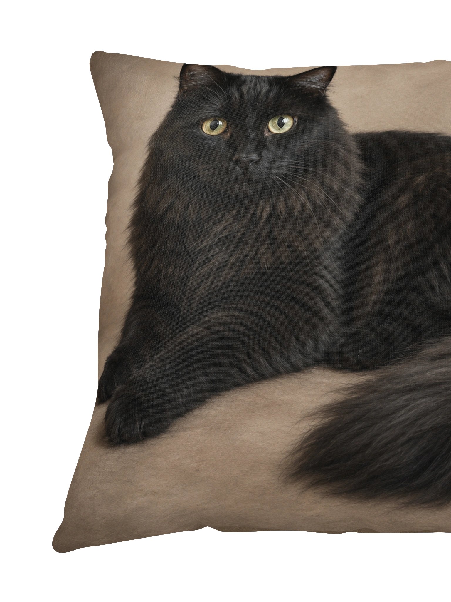 Because...Brutus Throw Pillow product image (4)