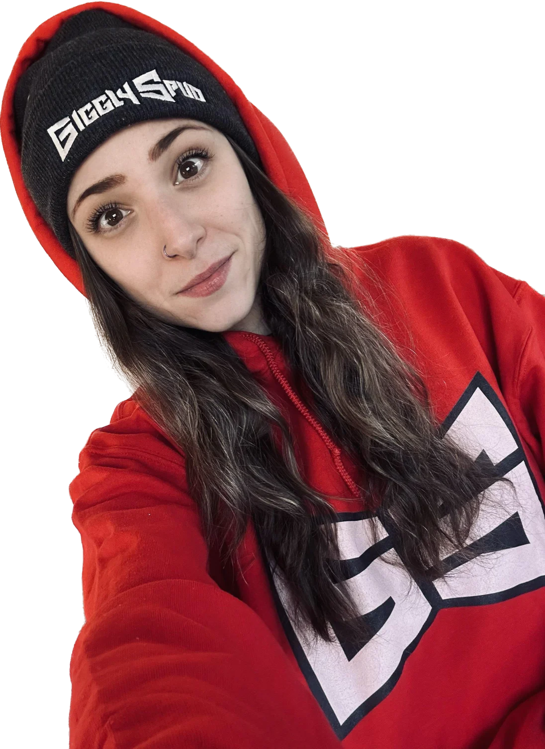 THEE Iconic Spud Hoodie product image (1)