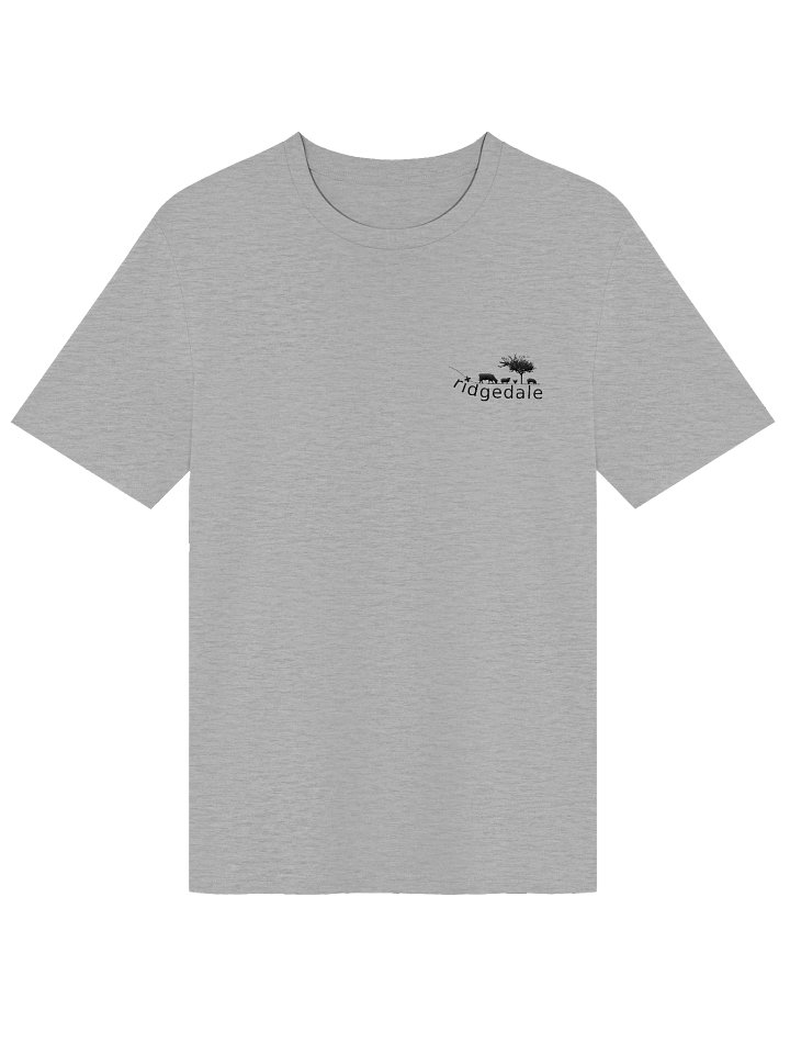 Ridgedale Organic T Shirt Grey product image (1)
