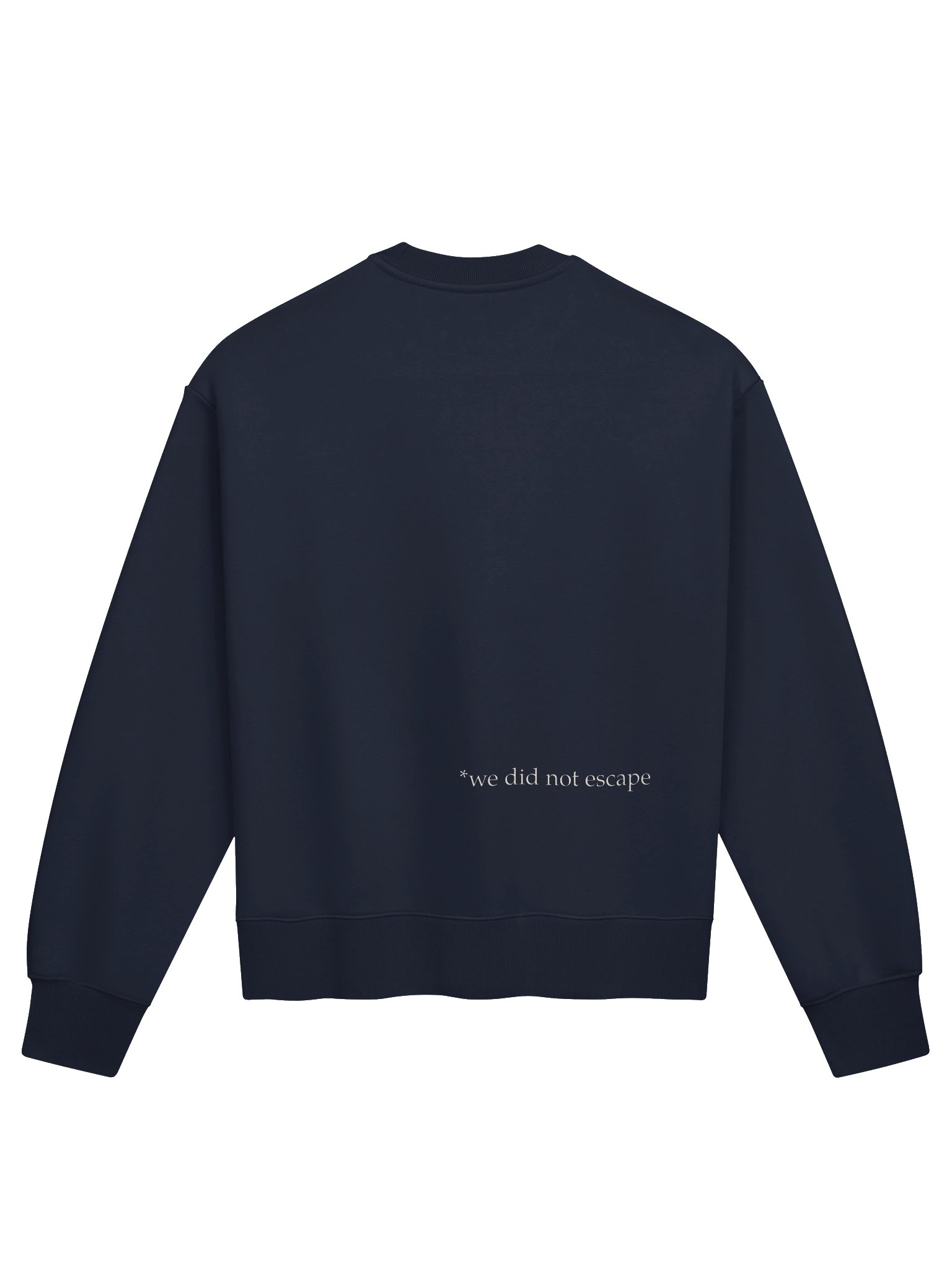 today's agenda — heavy crewneck product image (2)