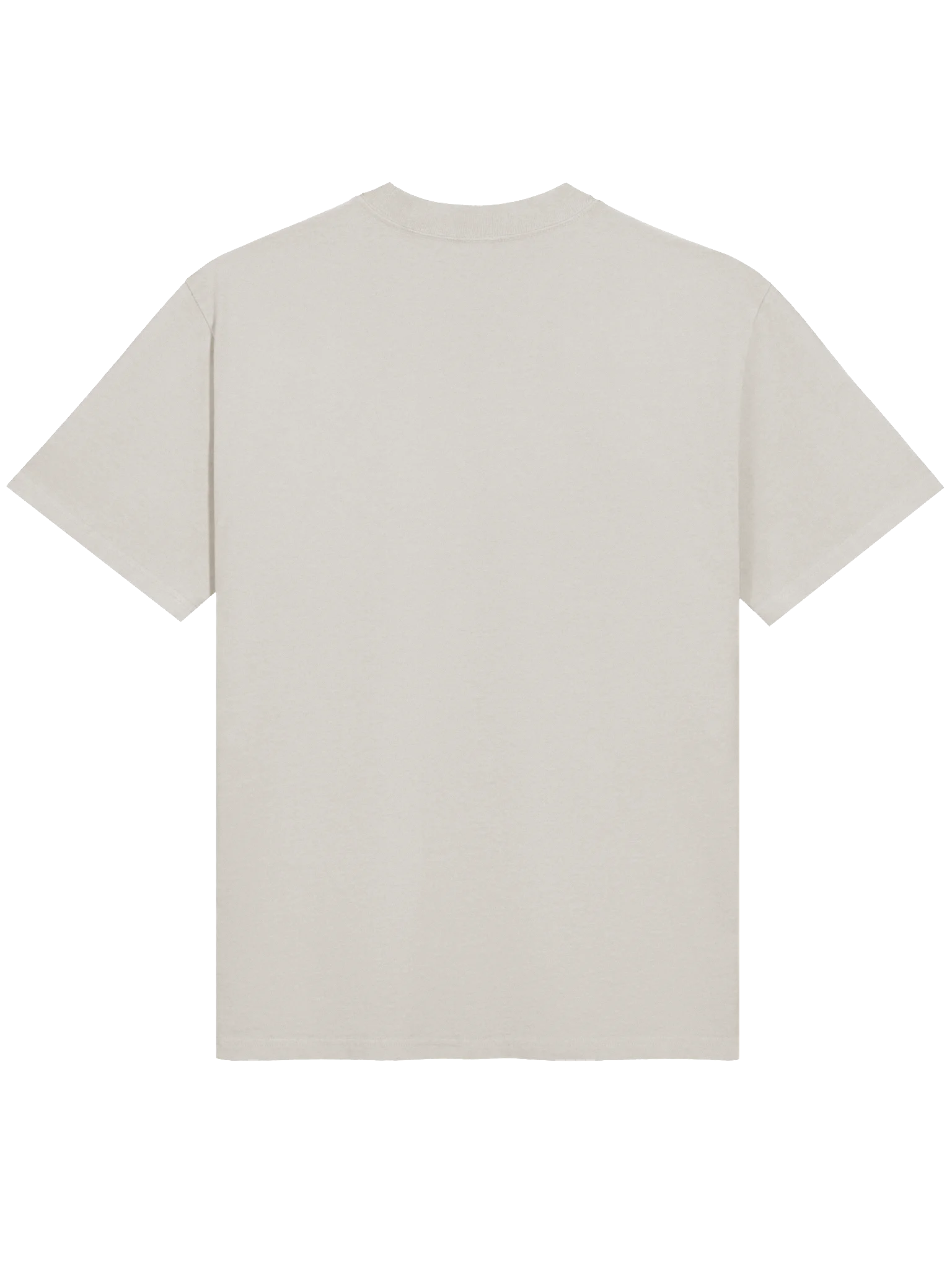 Just Blame Your Sister Oversized T-Shirt product image (2)