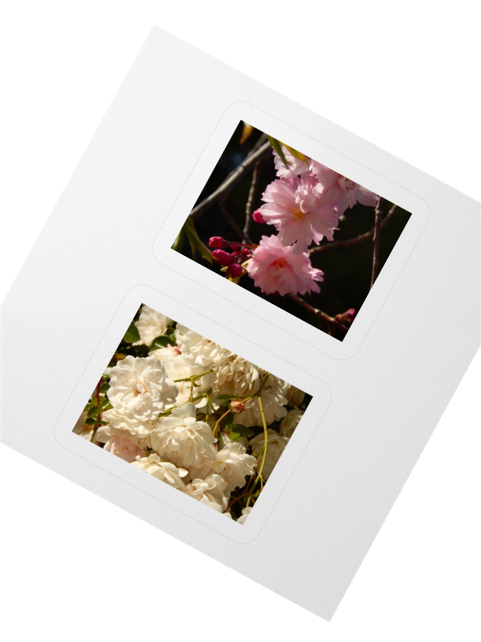 Flowers - Sticker Sheet product image (4)