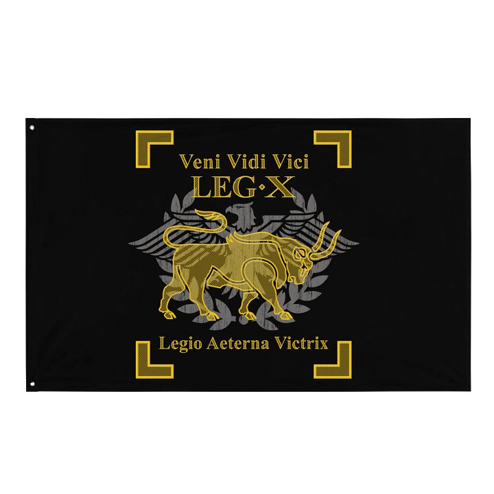 Legion X - veni vidi vici - Flag product image (1)