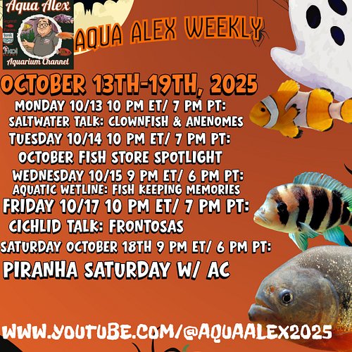 Press Release: Dive into an Exciting Week with Aqua Alex Aquariums!
Monday, October 13th, 2025
Lake Worth, FL

Aqua Alex Week...
