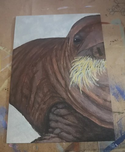 Baby walrus!