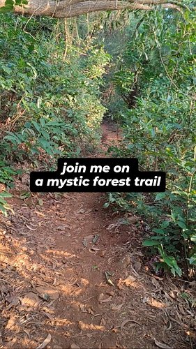 I invite you to listen to the lyrics with me, while you join me on this mystical forest trail. 

There's something incredibly...