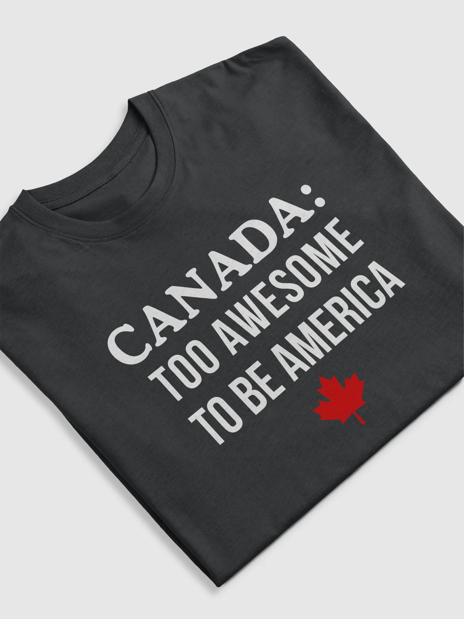 Canada Awesome Heavyweight Tee product image (5)
