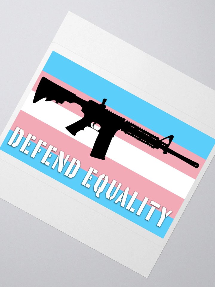 AR-15 Defend Equality Trans Flag Kiss Cut Stickers product image (5)