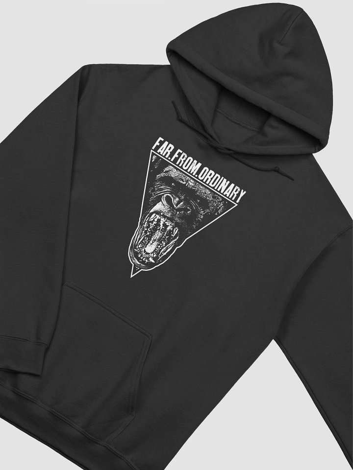 Far From Ordinary Heavyweight Hoodie product image (2)