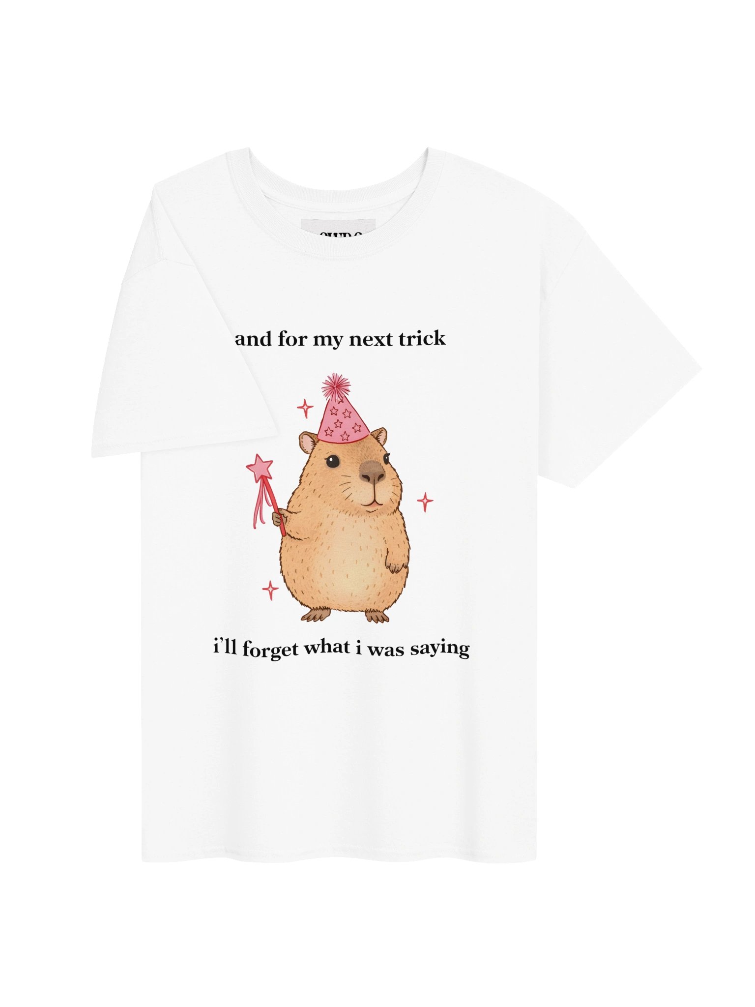 Magic Cabybara product image (3)
