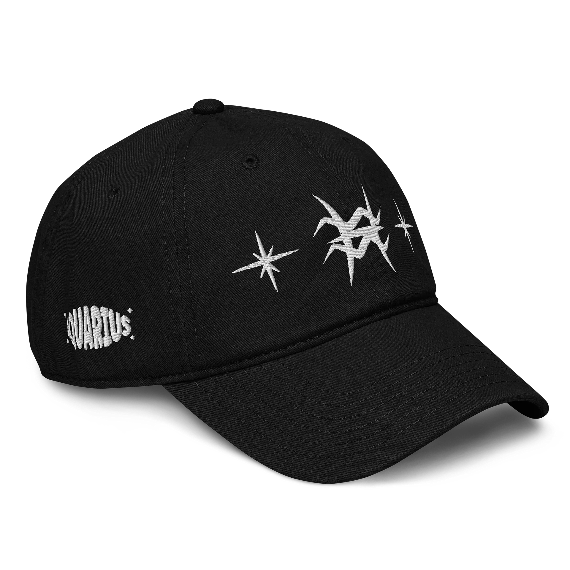 aquarius pisces cusp dad hat (white) product image (3)