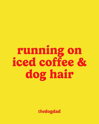 running on iced coffee & dog hair. because who needs sleep when you have caffeine and fur everywhere? #priorities