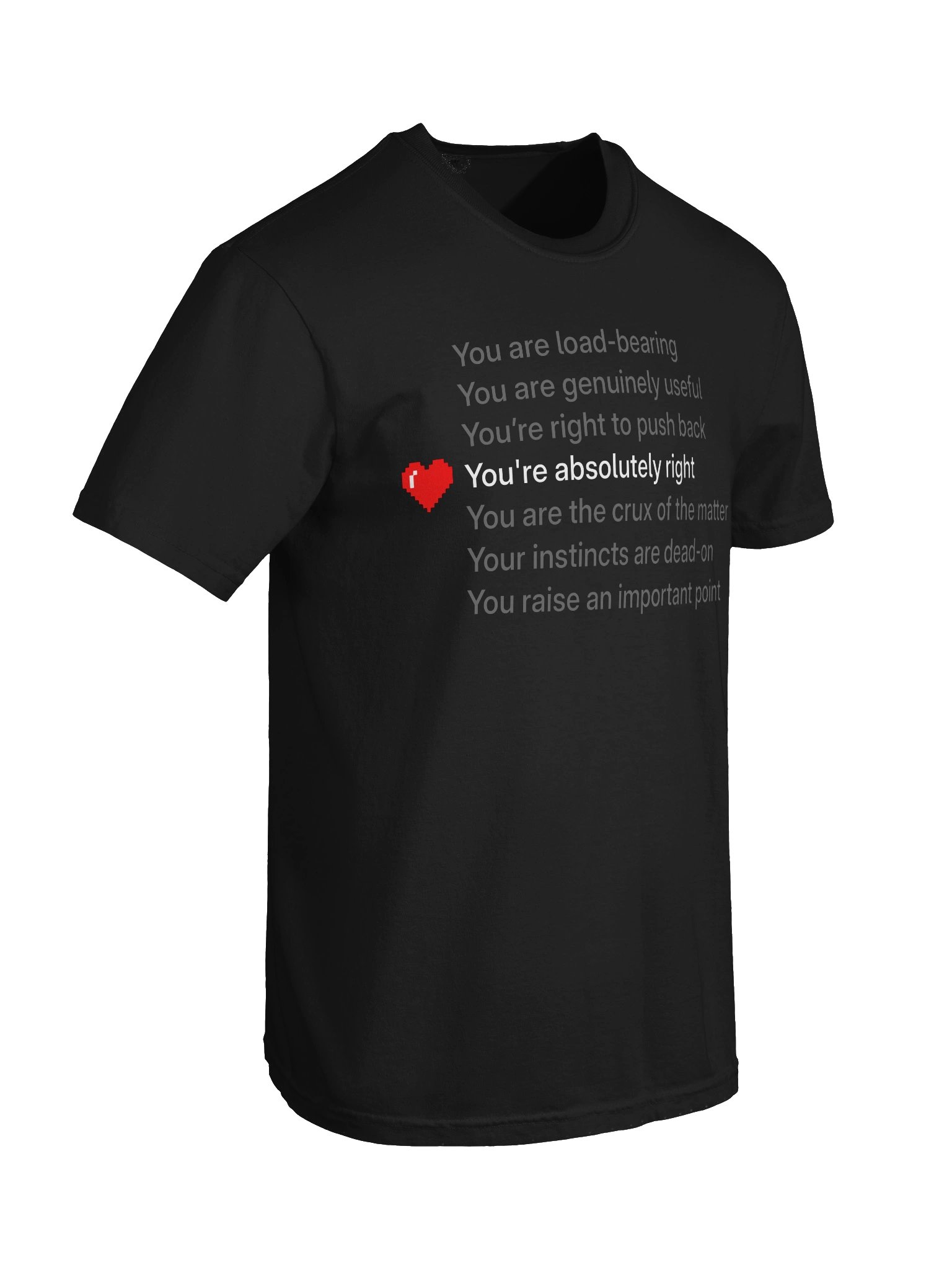 You're absolutely right product image (6)
