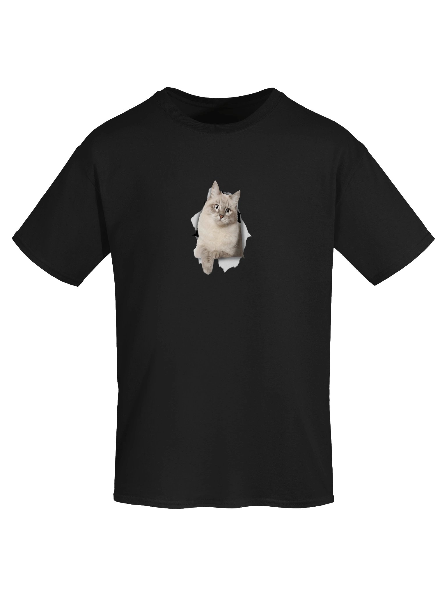 Curious Cat Peek Tee product image (5)