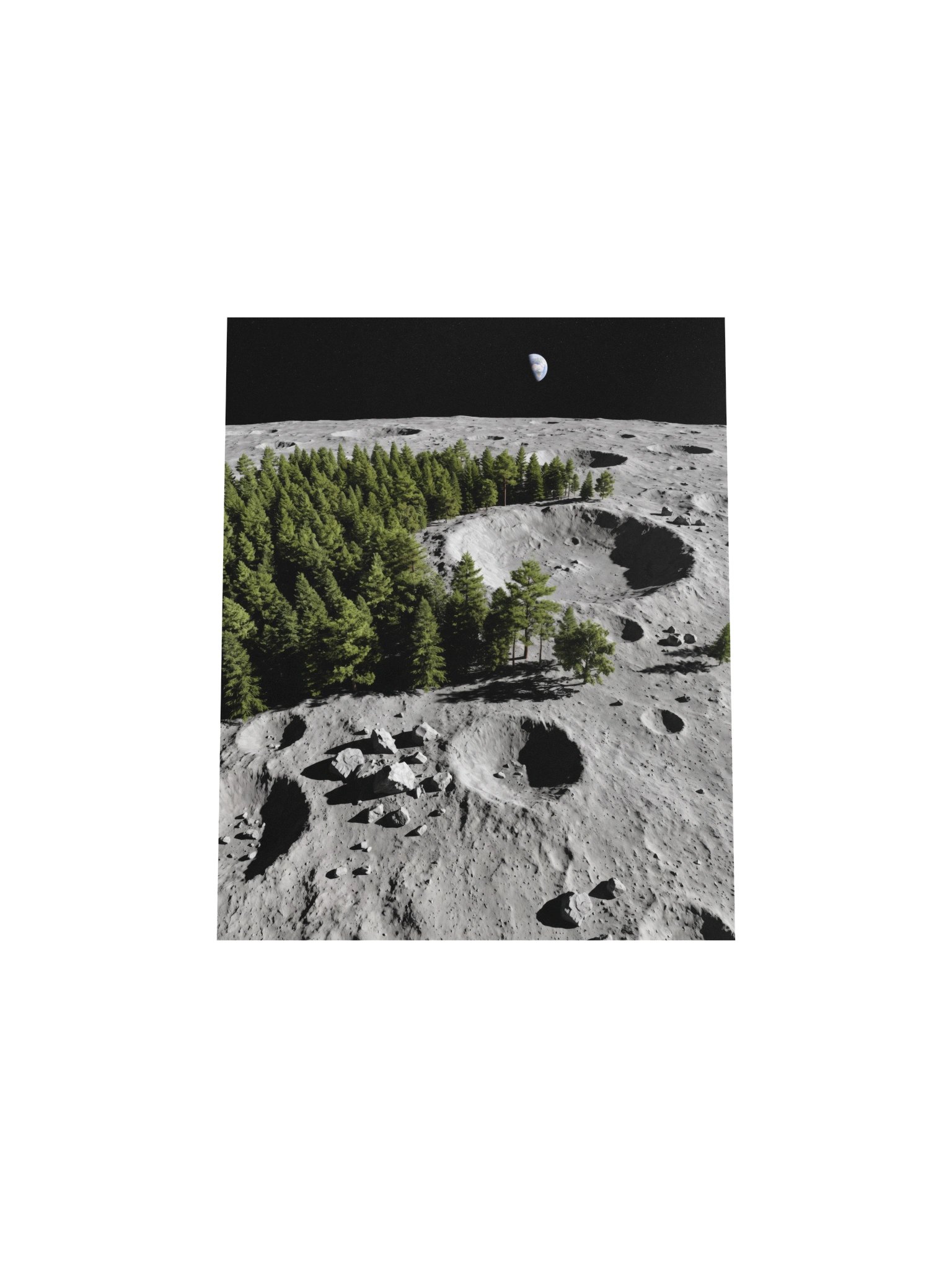 Can't See The Moon For The Trees product image (4)