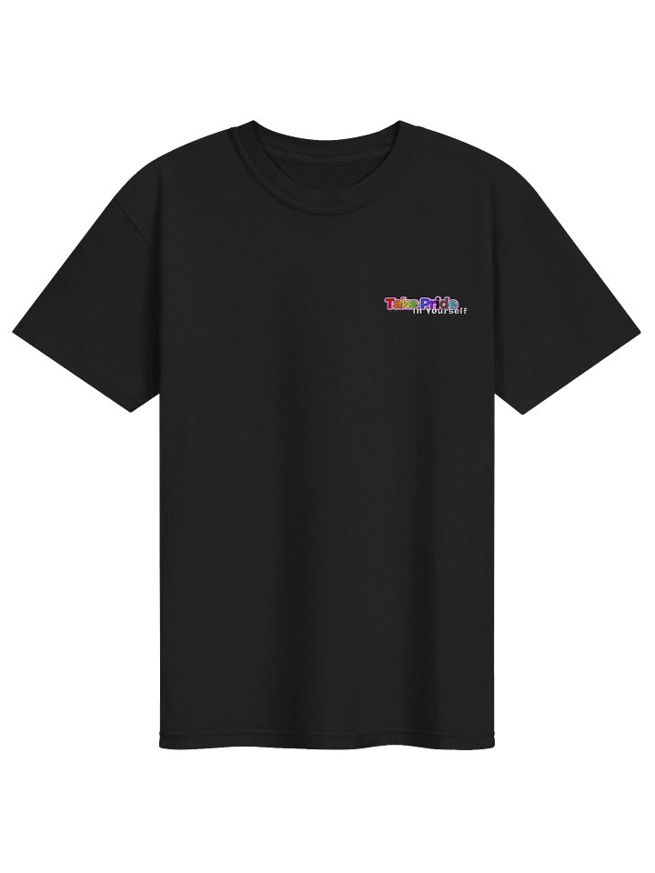 Take Pride In Yourself Embroidered Heavyweight T-Shirt product image (1)