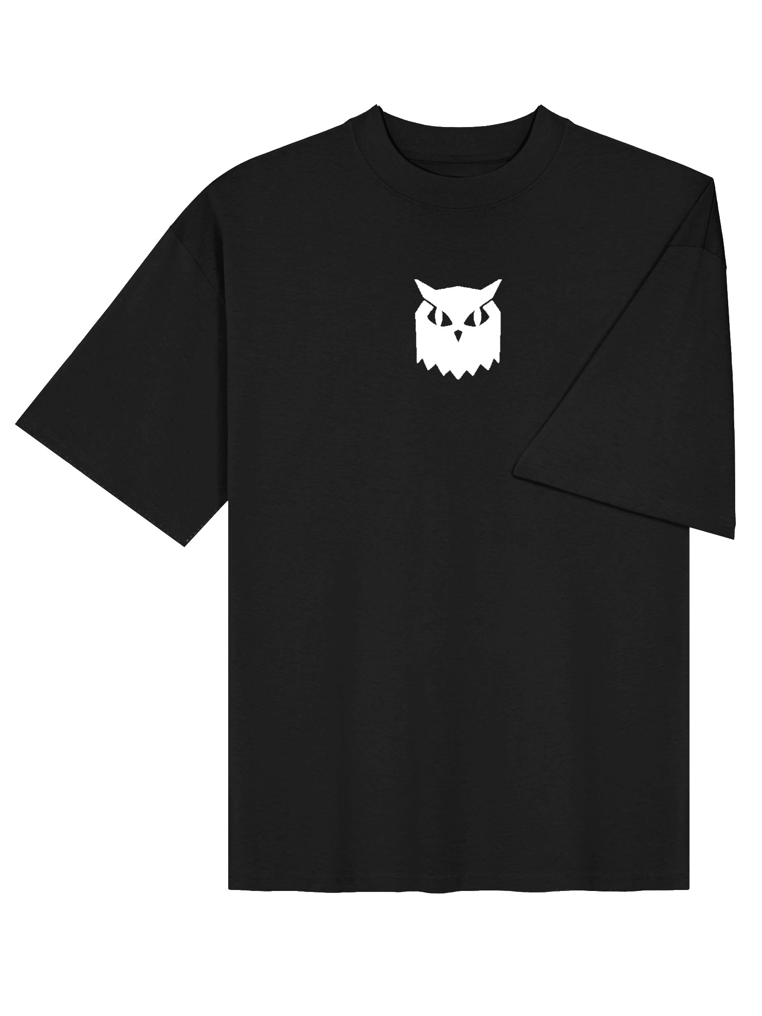 OVERSIZED T-SHIRT product image (10)
