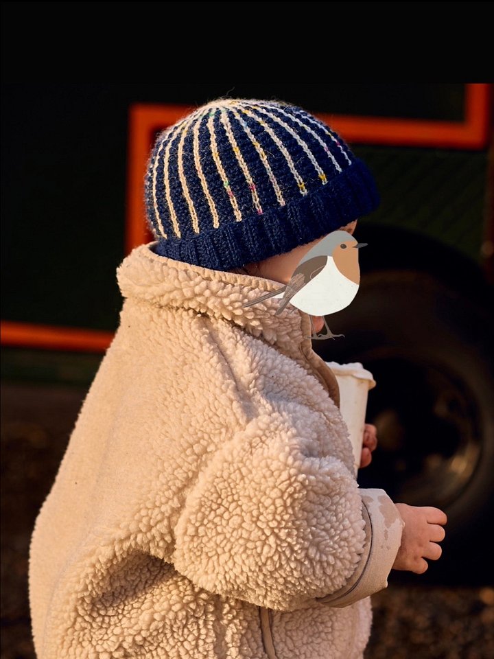 The Robin Beanie | Knitting Pattern Digital Download product image (2)