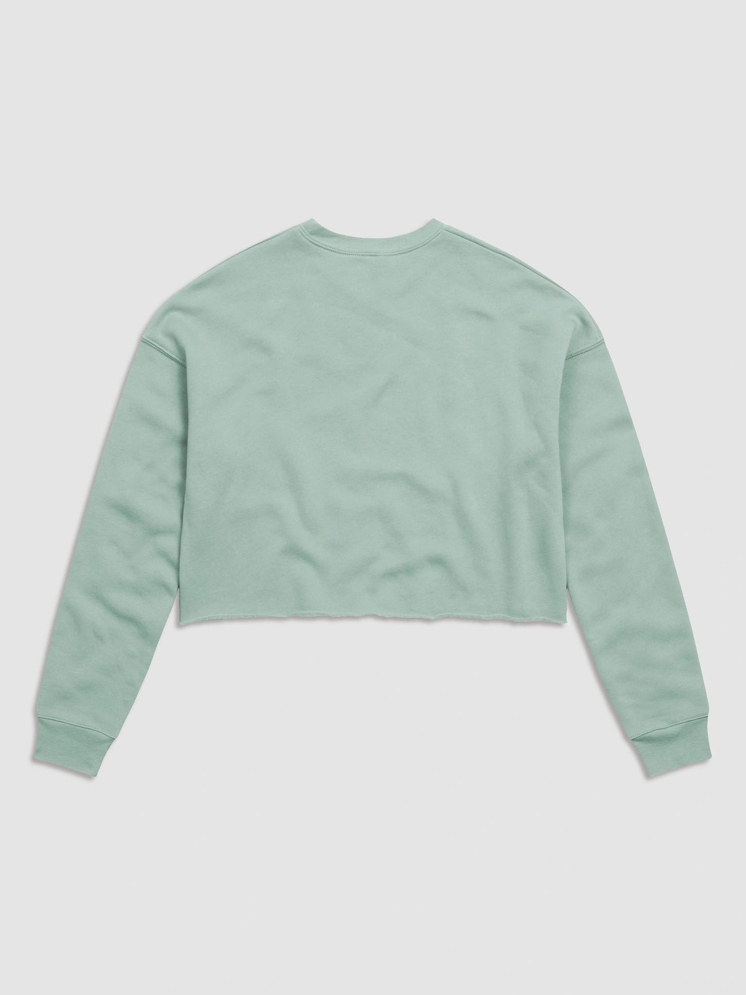 DST3K Crop Sweatshirt product image (3)