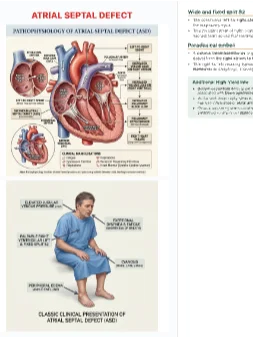 IvyTutoring Step 1 HY Book - Cardiology product image (2)
